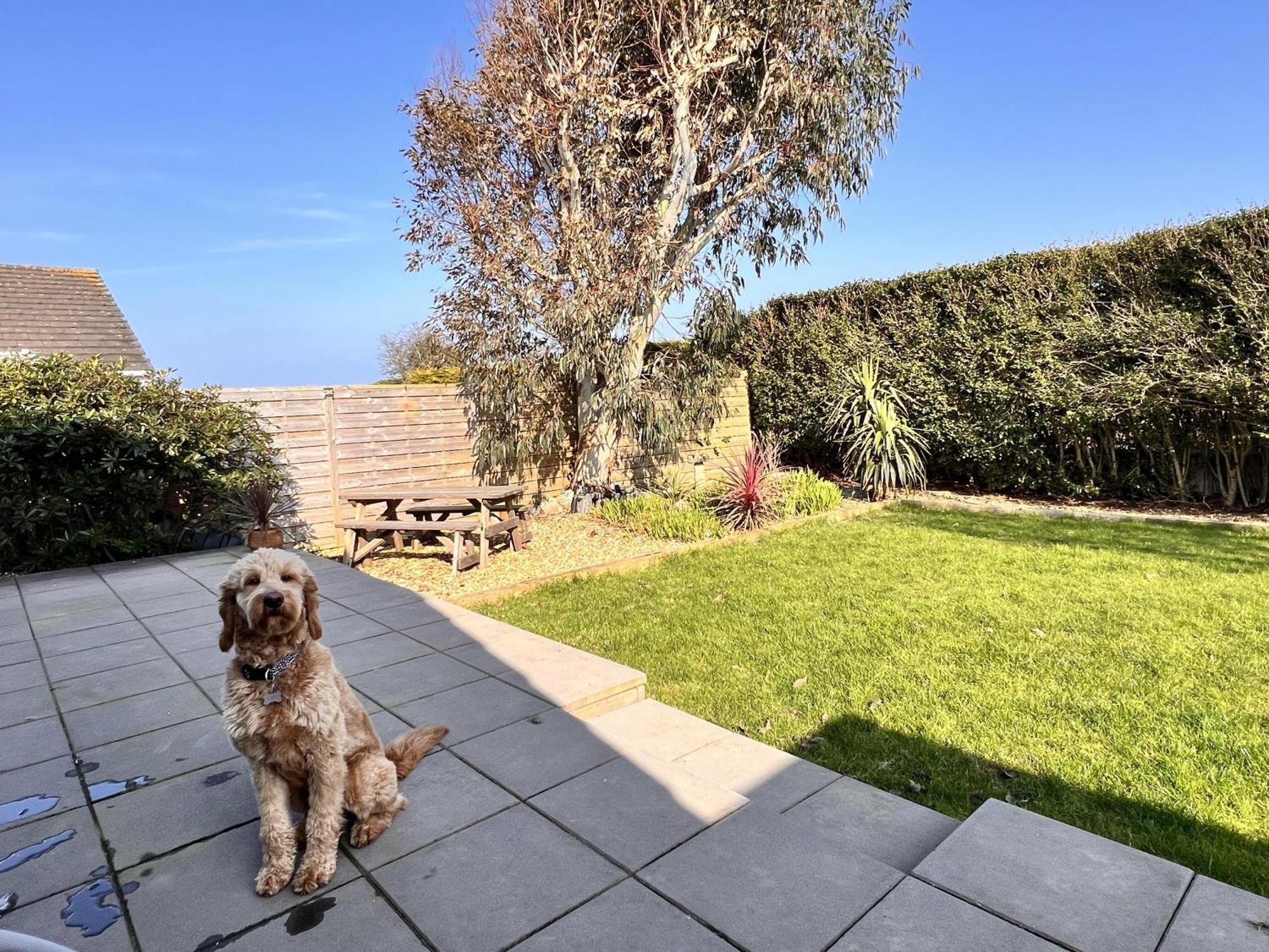 Stylish Modern Home With Parking Enclosed Garden Holyhead Eksteriør bilde